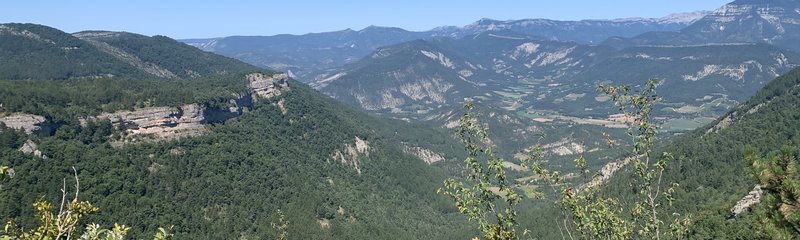 IMG_9778